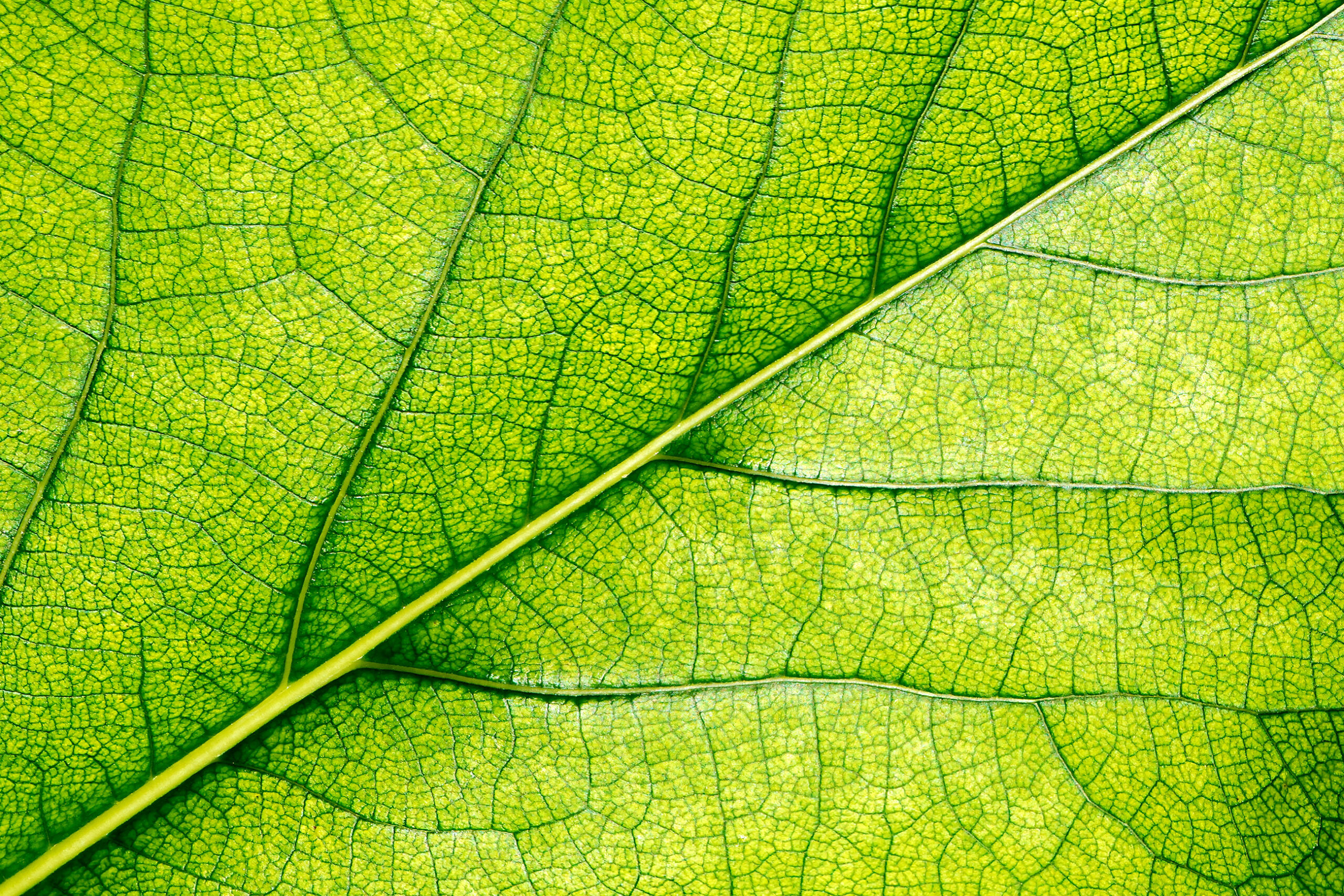 Prevention is more cost-effective than cure